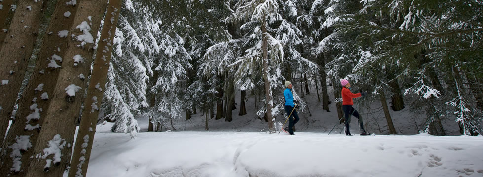 Passeggiata con racchette da neve in mezzo ai boschi